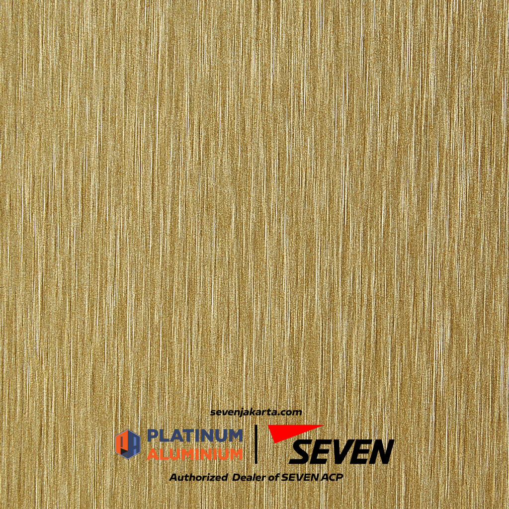 ACP SEVEN Tortilla